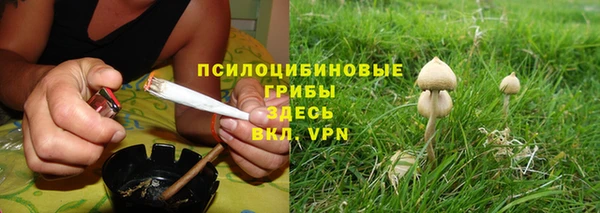 бутират Нягань