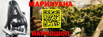сатива Гатчина