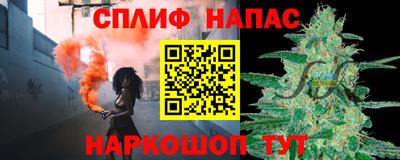 ECSTASY Гай