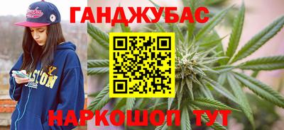 ECSTASY Гай