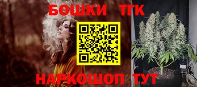 ECSTASY Гай