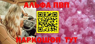 ECSTASY Гай